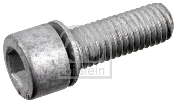 Screw Plug, axle drive